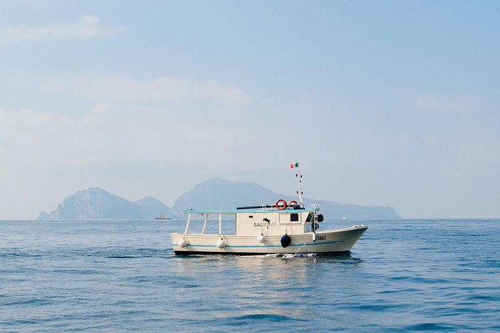 Fishing and Tourism in Capri - Image 1