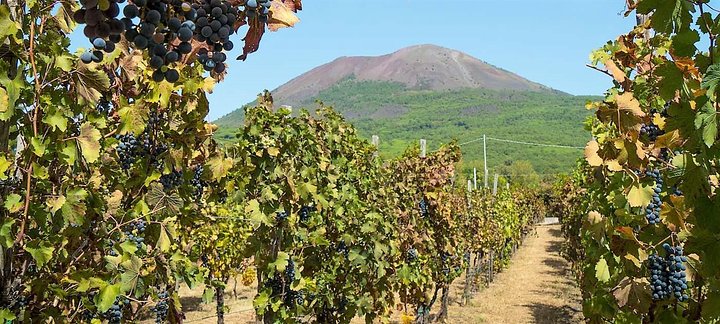 Full-Day Pompeii - Vesuvius - Winery Lunch Experience Private Tour - Image 2