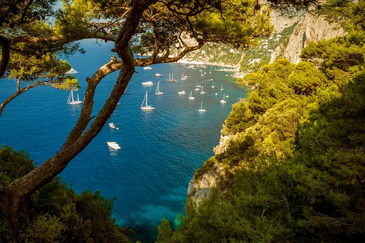 Full-Day Private Tour of Capri and Anacapri from Sorrento - Image 1