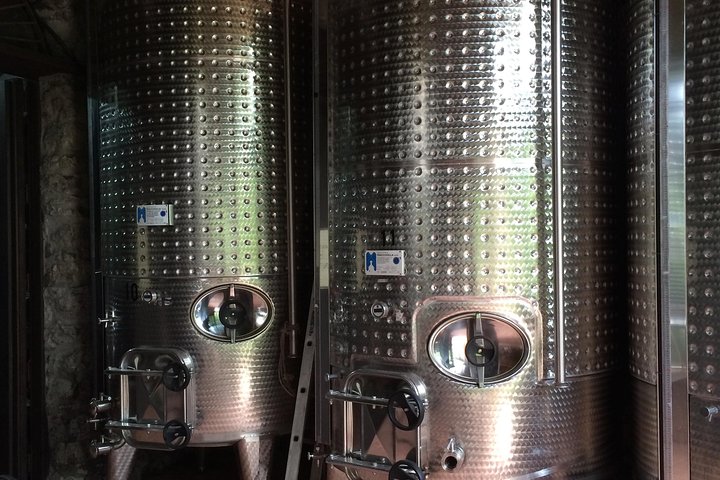 Full-Day Wine Tasting Tour in the Province of Avellino - Image 3