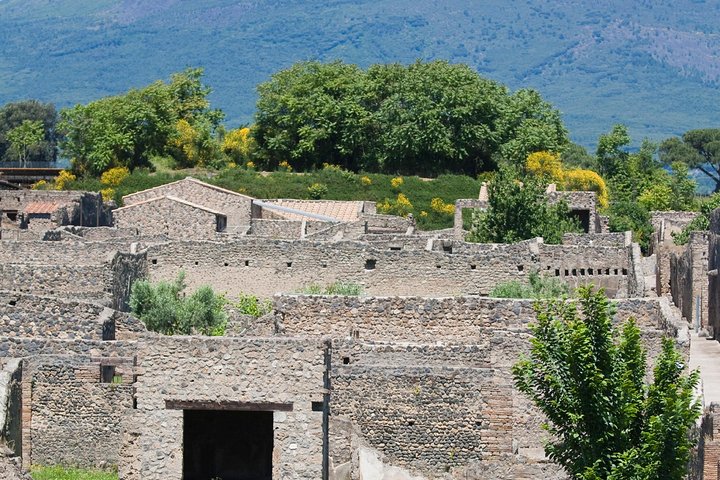 Half-Day Pompeii Sightseeing Tour from Sorrento - Image 2