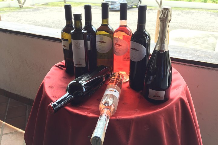 Herculaneum-Wine tour from Sorrento, with licensed guide included - Image 4
