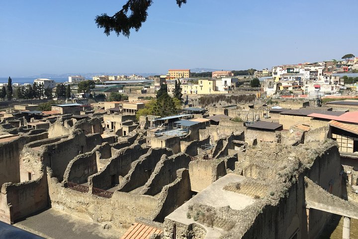 Herculaneum-Wine tour from Sorrento, with licensed guide included - Image 1