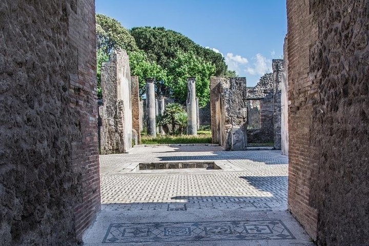 Little Group Volcanic and Archaeological with private guide and ... Neapolitan lunch - Image 5