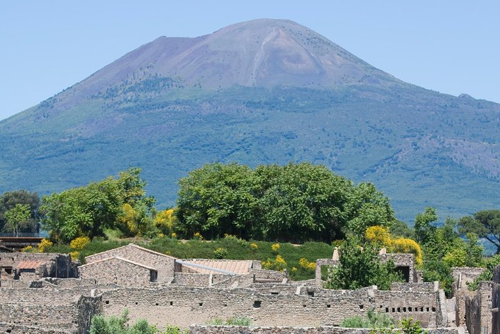 Naples City and Pompeii Half-Day Sightseeing Tour from Sorrento - Image 2