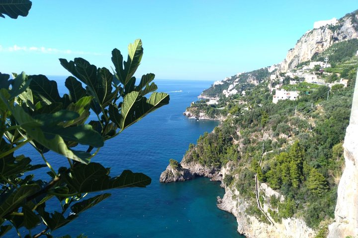 Naples port tour Sorrento and pompeii and overview of positano  - Image 2