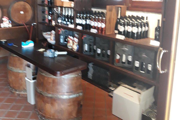 One Day Tour from Sorrento to Pompeii, Winery and Herculaneum - Image 3