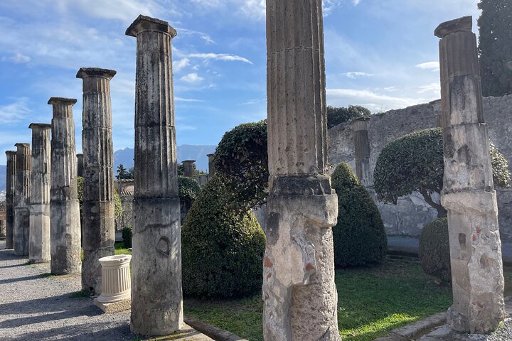 Pompeii Archaeological Excavations Tour - Half Day - Image 2