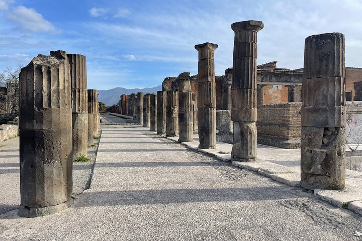 Pompeii Archaeological Excavations Tour - Half Day - Image 4