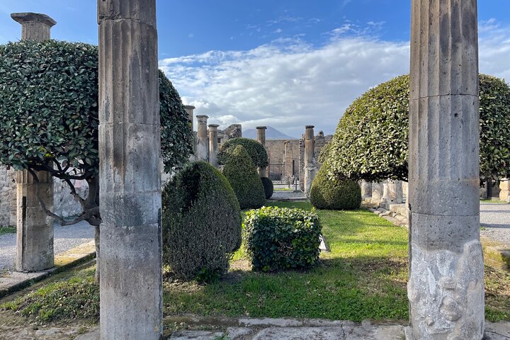 Pompeii Archaeological Excavations Tour - Half Day - Image 1