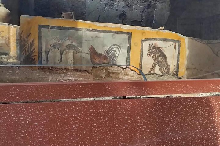 Pompeii Herculaneum  - Image 3