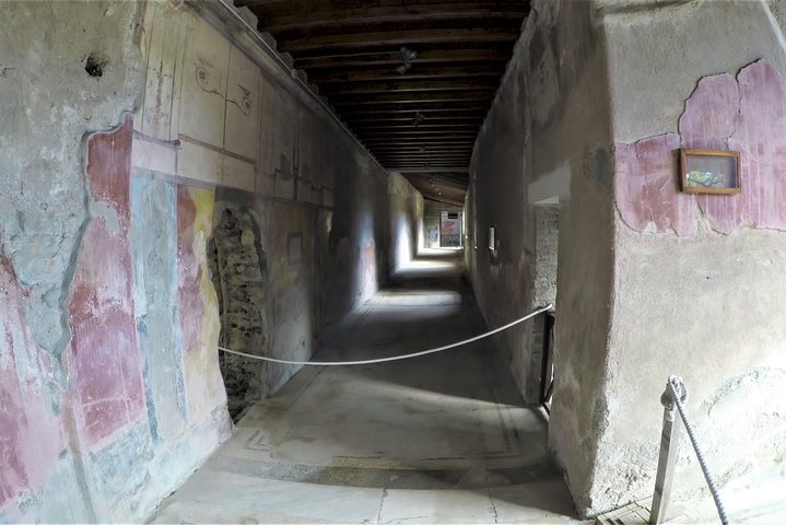  Pompeii, Herculaneum and Local wine tour from NAPLES - Image 5