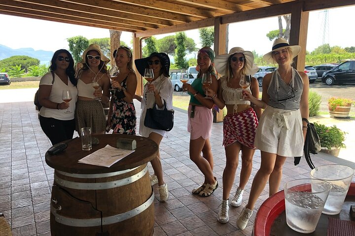 Pompeii, Herculaneum & Wine Tour, with Licensed Guide included - Image 1