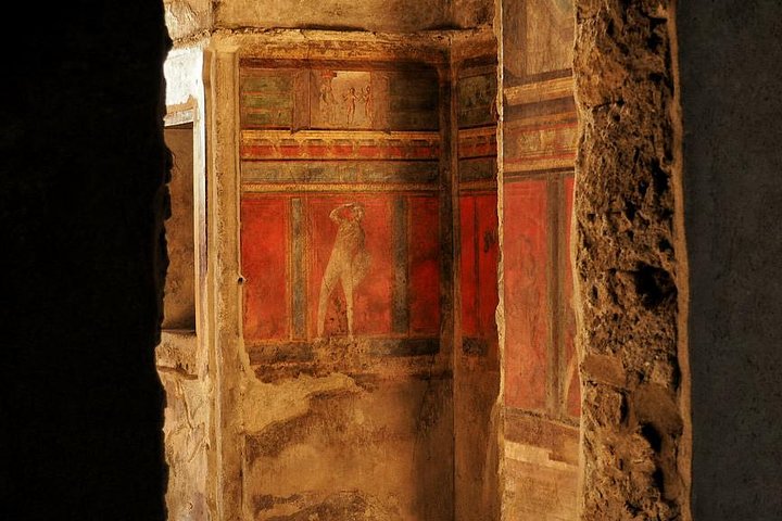 Pompeii Tour from Sorrento:learn about Roman Life tasting food of Ancient City - Image 3