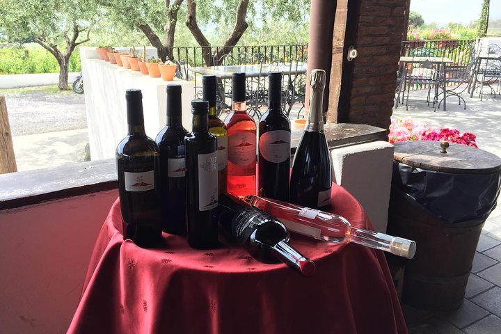 Pompeii-Wine tasting tour from Sorrento, licensed guide included - Image 5