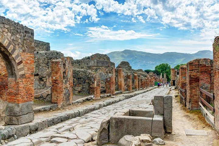 Private Experience: Guided tour in Pompei & local wine tasting from Sorrento - Image 3