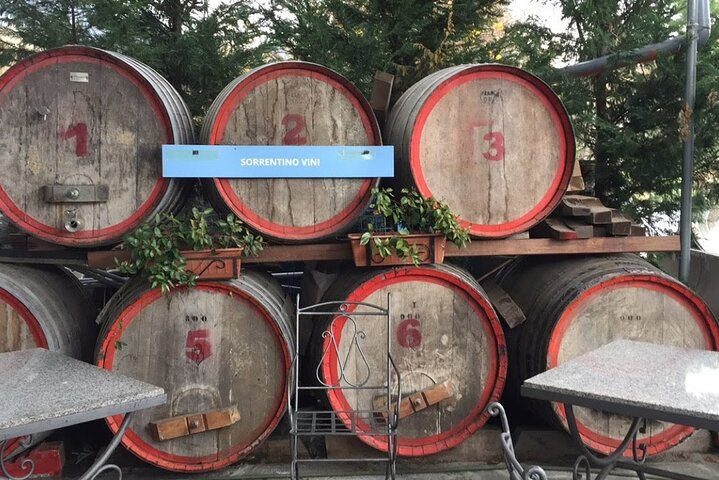 Private Pompeii and Herculaneum Day Tour - Image 4