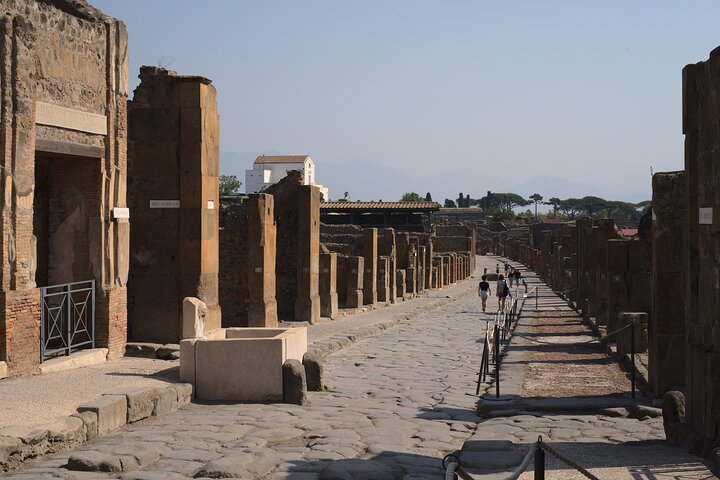 Private Pompeii & Horses & Wine w/ Pick up included - Image 5