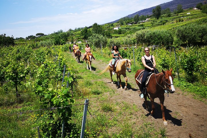 Private Pompeii & Horses & Wine w/ Pick up included - Image 2