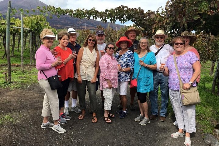 Private Pompeii Tour with an archaeologist and wine experience on Mt Vesuvius - Image 3