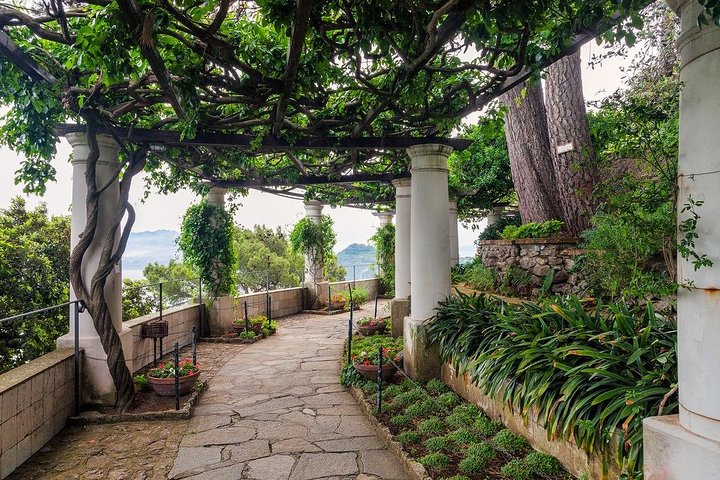 Private Tour of Capri and Anacapri From Sorrento - Image 3