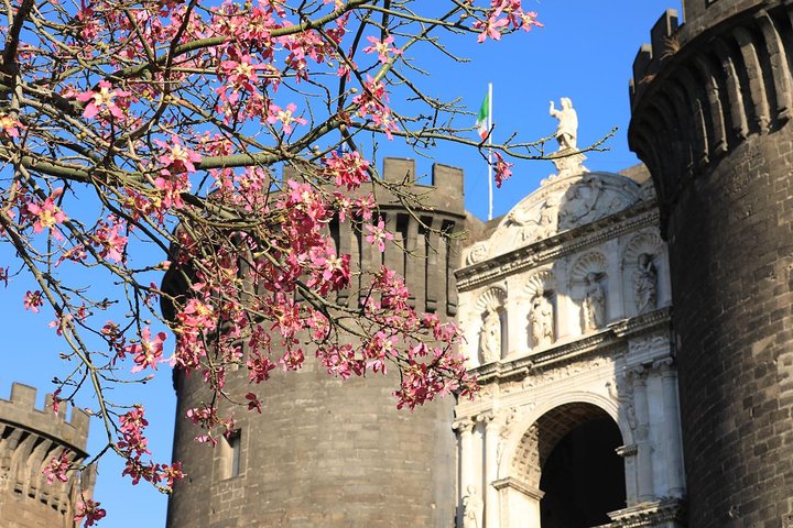 Private Tour of Naples from Sorrento - Image 2