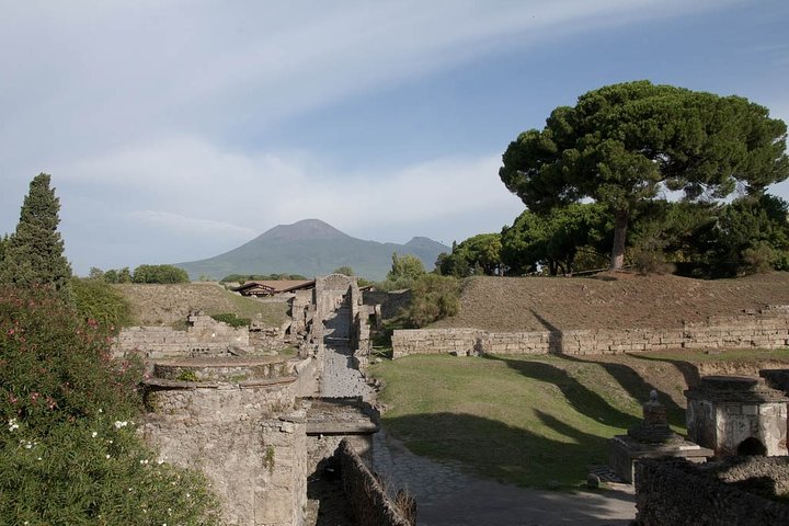 Private tour Pompeii Vesuvius and Winery from Sorrento - Image 1
