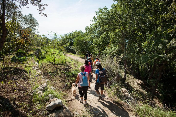 Private trekking on the Sirenuse Path - Image 4