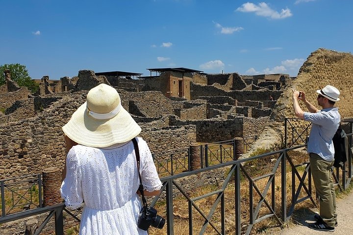  Skip the line Private Pompeii and Herculaneum Tour with Local Guide - Image 4