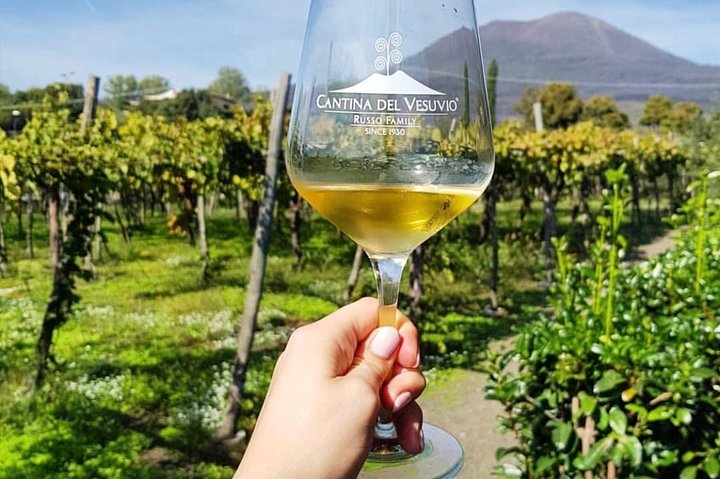 Tour of Pompeii with tour guide plus wine testing and lunch in a winery Vesuvius - Image 3