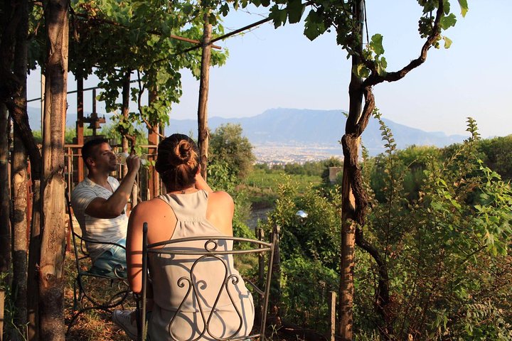 Transfer from Sorrento to Naples with wine tasting (1-8 PAX) - Image 5