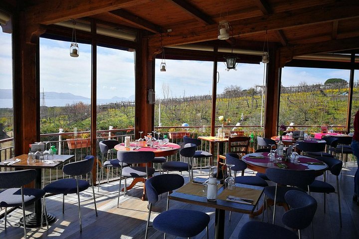 Transfer from Sorrento to Naples with wine tasting (1-8 PAX) - Image 4
