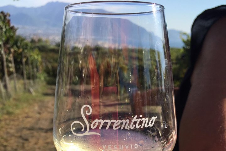 Transfer from Sorrento to Naples with wine tasting (1-8 PAX) - Image 1