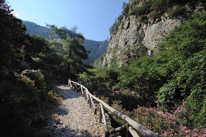 Agia Irini Gorge and Sougia Beach Tour - Image 5