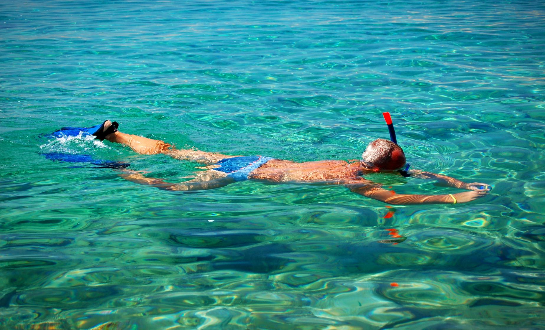 Boat Tour and Snorkel Adventure - Image 1