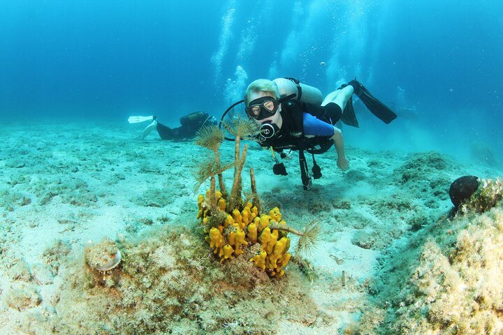 Boat Trip with Scuba and Snorkeling in Chania - Image 2