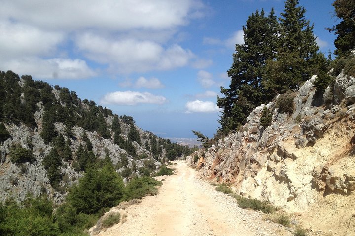 Chania Tour 1. Explore the White Mountains of Crete  - Image 3