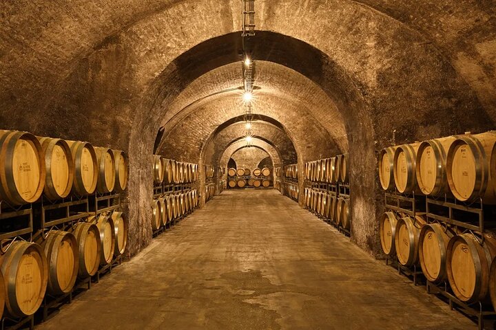 Crete Wine & Olive Oil Tour  - Image 5