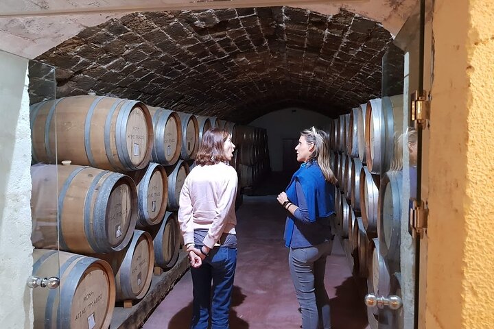 Crete Wine & Olive Oil Tour  - Image 4