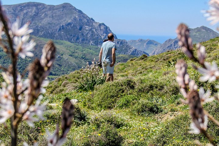Discover South Crete from Rethymnon - follow the tradition - Image 2