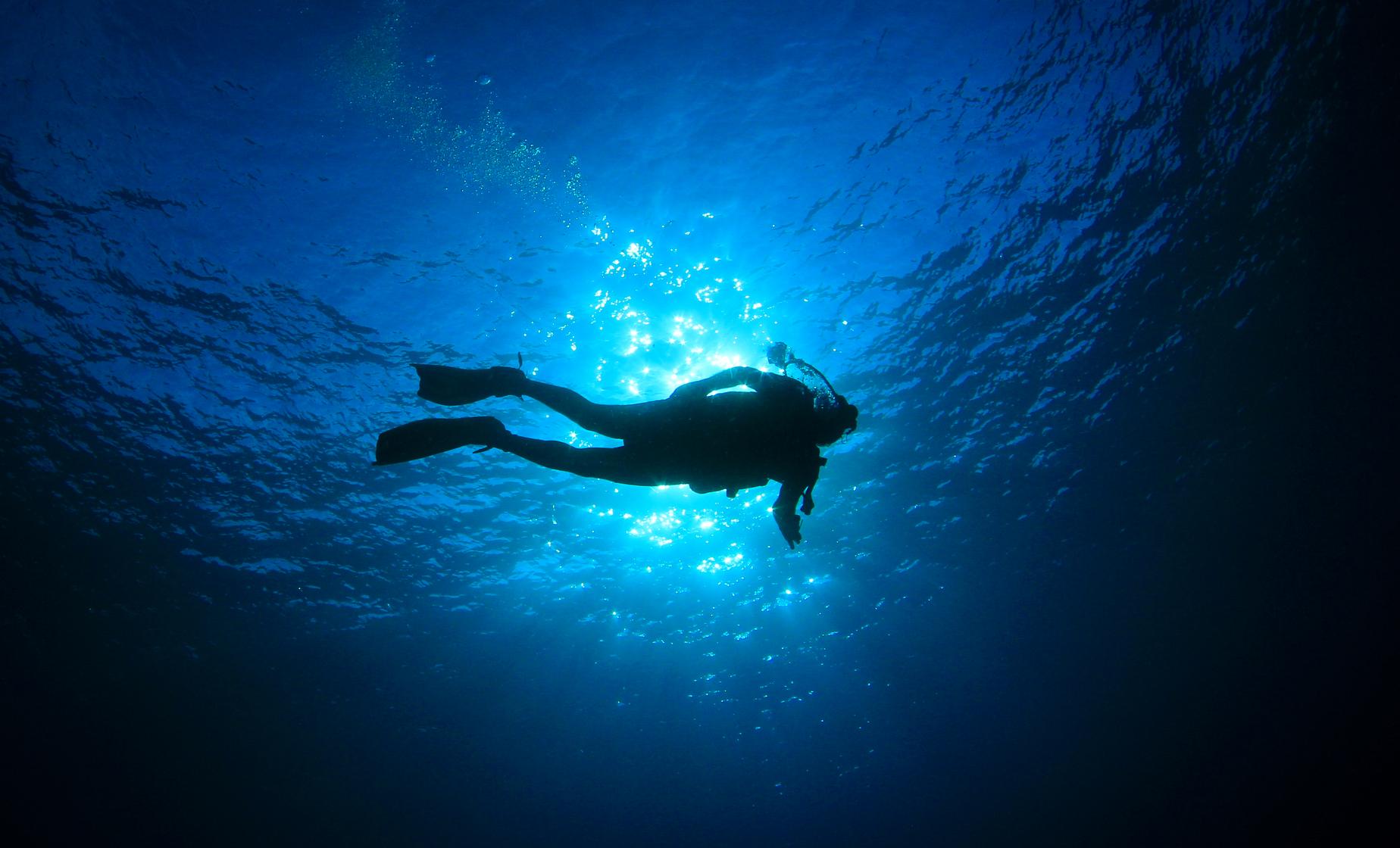 Elephant's Cave Dive Experience - Image 1
