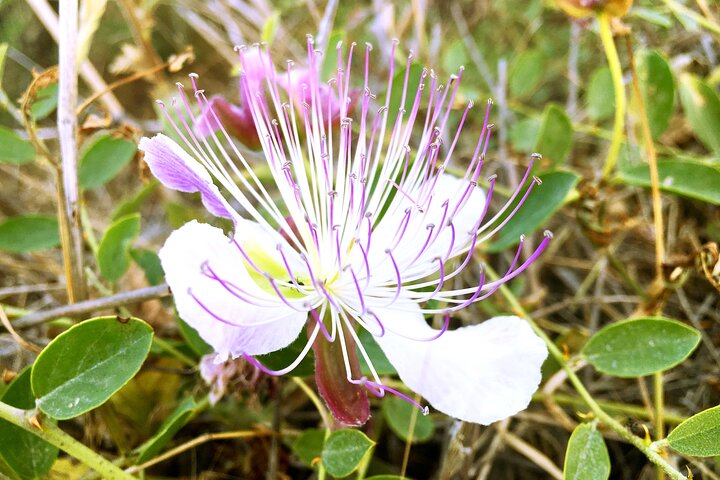 Far West of Crete Private Tour - Image 4