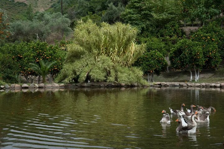 Half Day Private Tour to Botanical Garden in Chania - Image 5