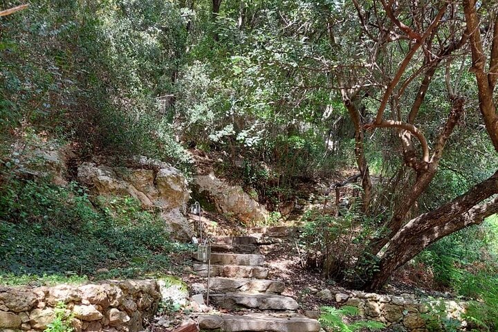 Half-Day Private Walking Tour along the Orthodox Gorge - Image 4