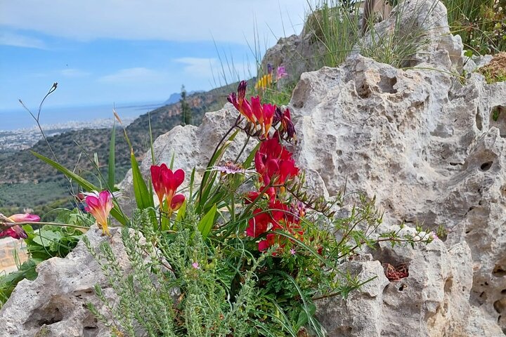 Half-Day Private Walking Tour along the Orthodox Gorge - Image 2