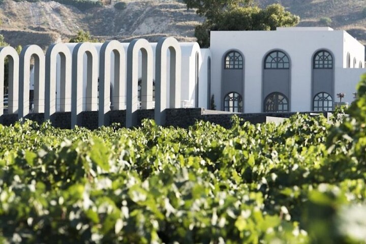 Half Day Private Wine Tasting Tour in Santorini - Image 5