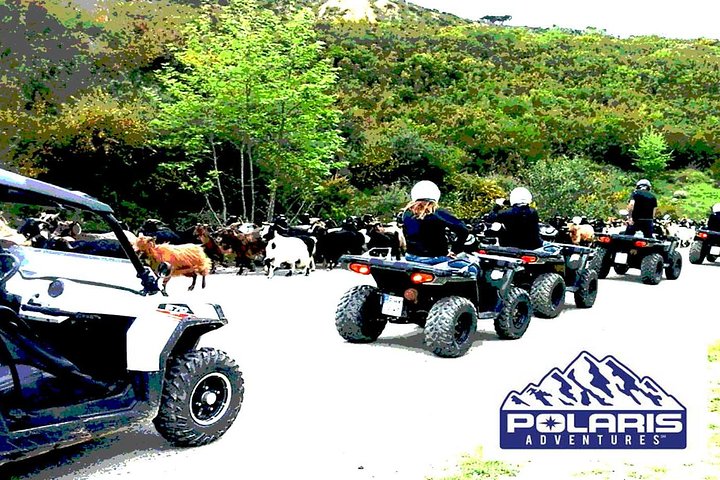 Half-Day Rethymno Quad Safari - Image 5