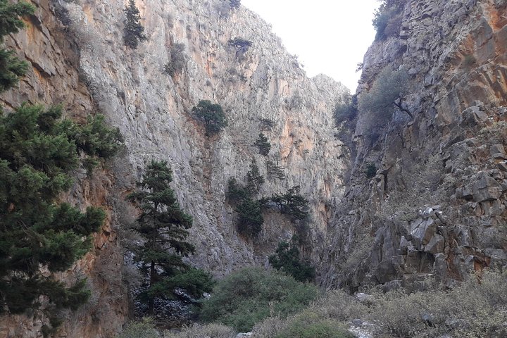 Hike Imbros Gorge and visit Frangokastello Beach or Winery Private Tour - Image 3