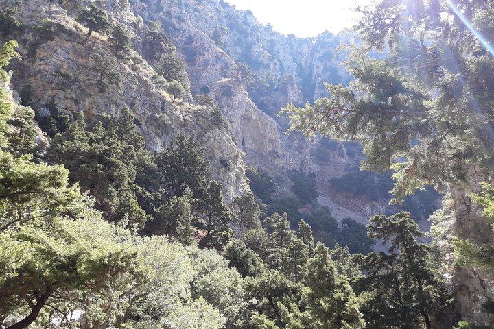 Hike Imbros Gorge and visit Frangokastello Beach or Winery Private Tour - Image 4