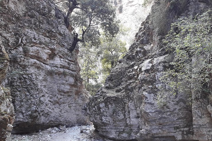 Hike Imbros Gorge and visit Frangokastello Beach or Winery Private Tour - Image 2